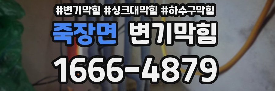 변기막힘