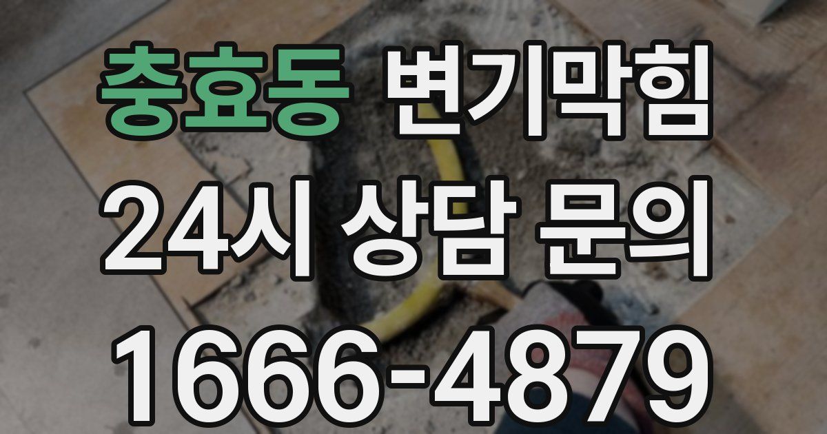 충효동 변기