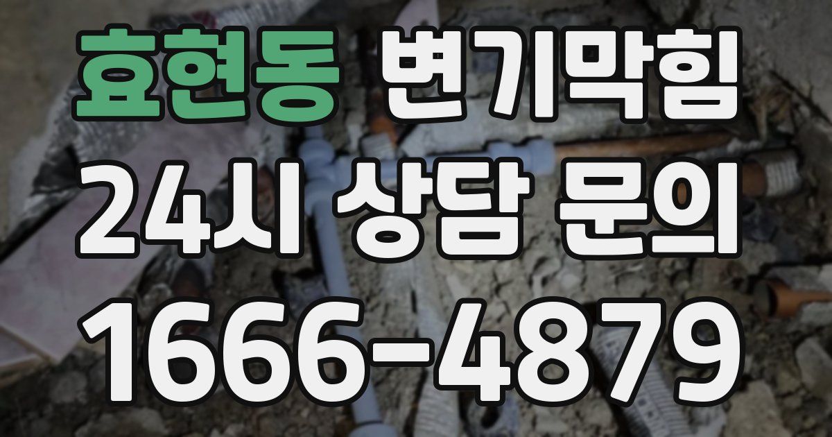 효현동 변기