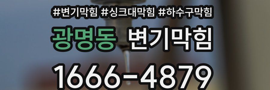 변기막힘