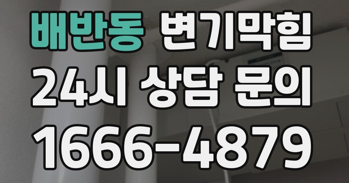 배반동 변기
