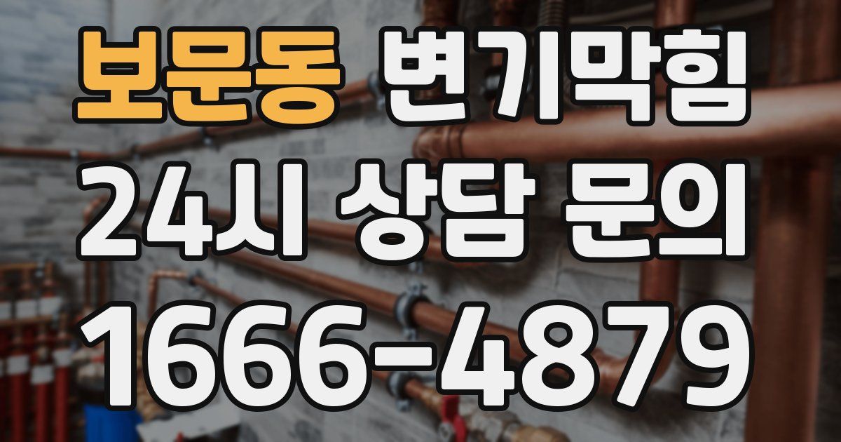 보문동 변기
