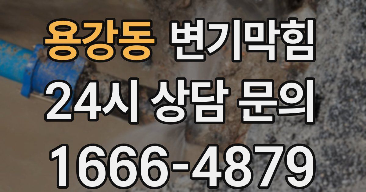 용강동 변기