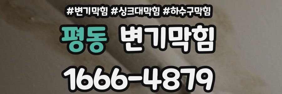 변기막힘