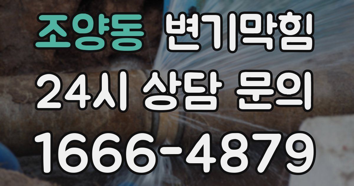 조양동 변기