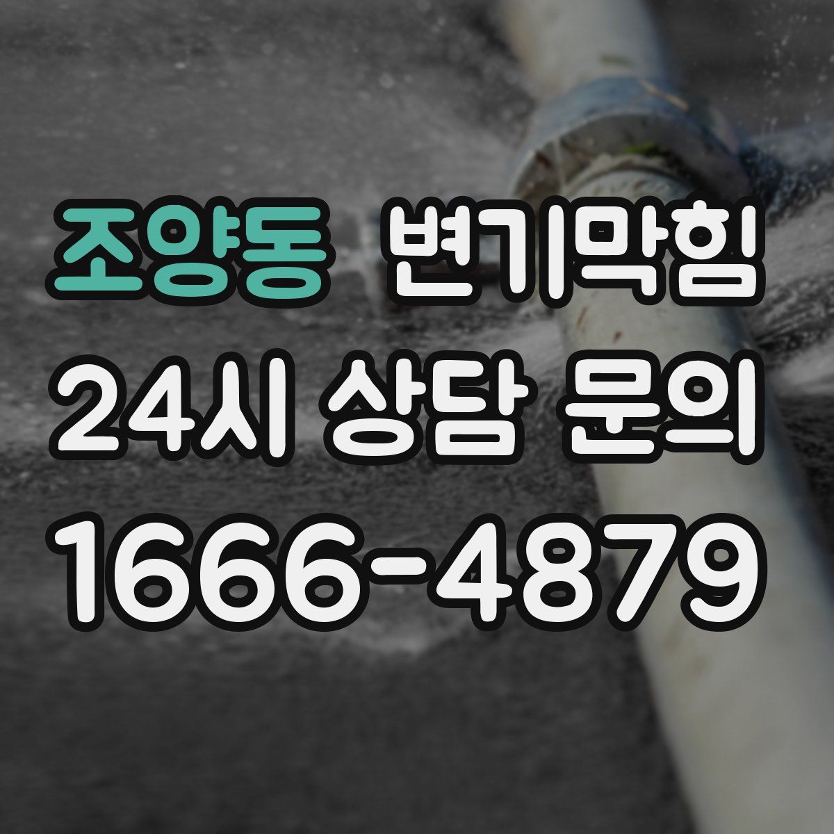 조양동 변기막힘