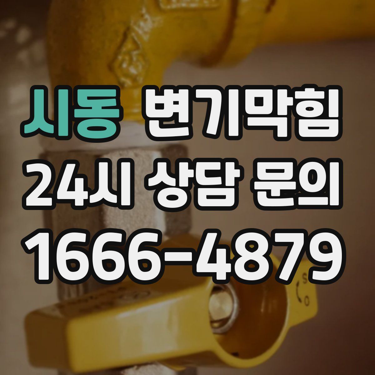 시동 변기막힘