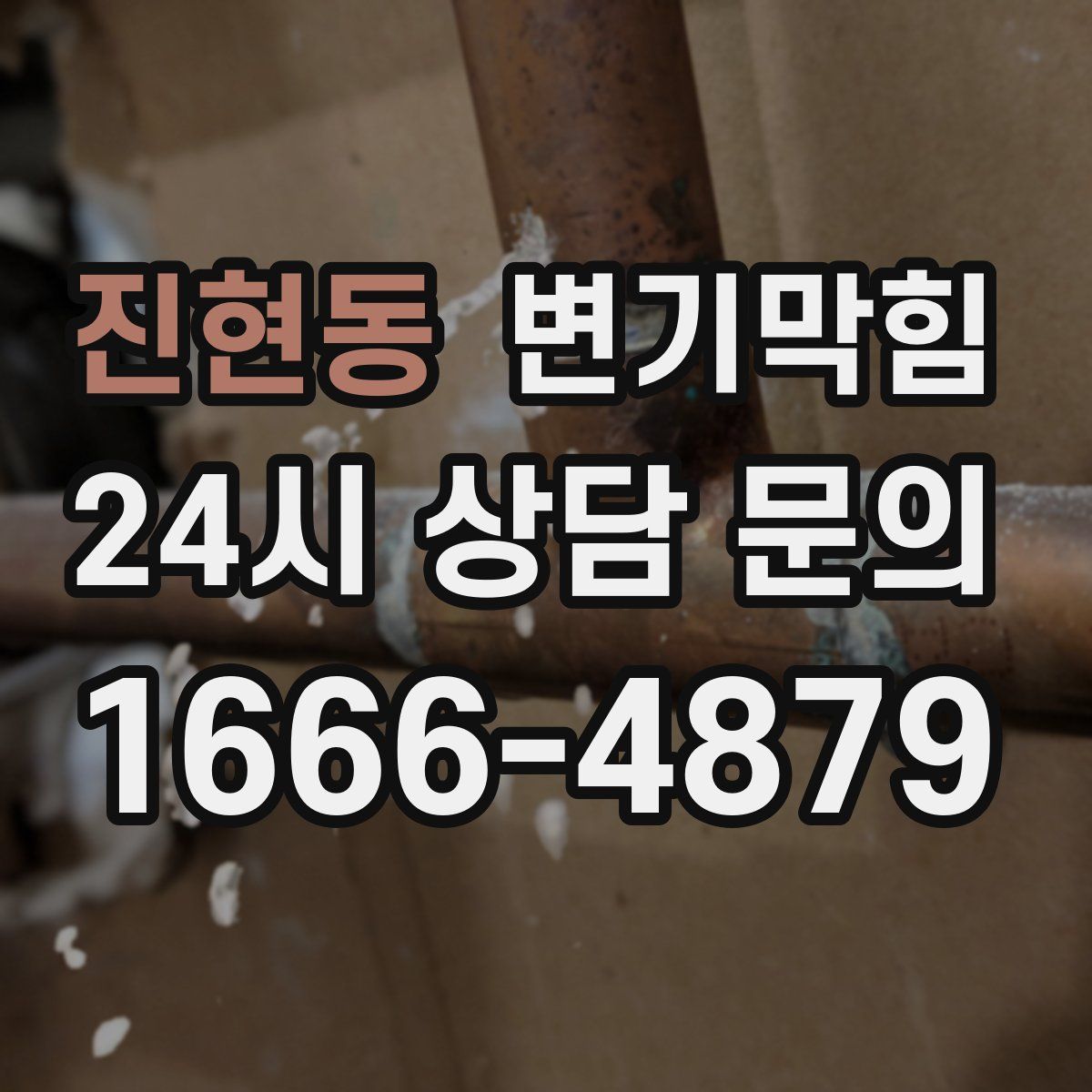 진현동 변기막힘