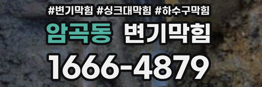변기막힘