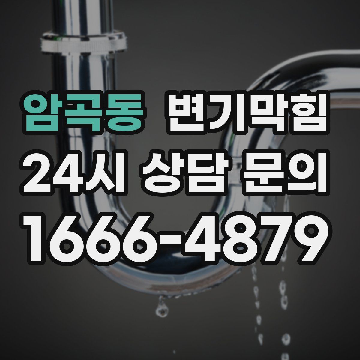 암곡동 변기막힘
