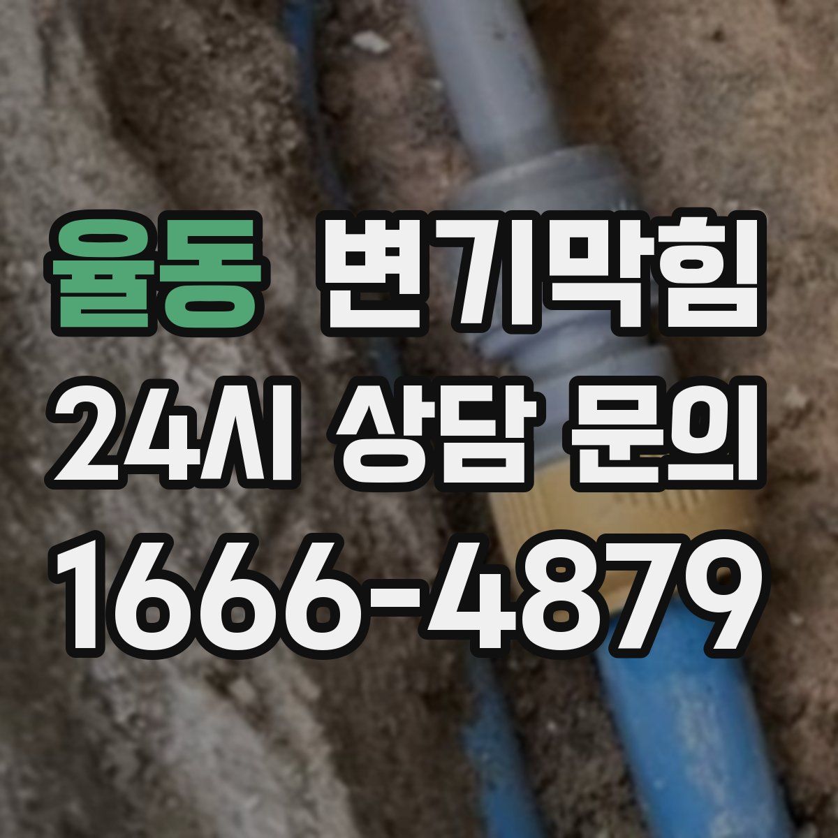 율동 변기막힘