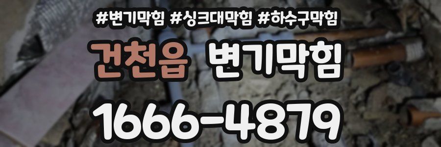 변기막힘