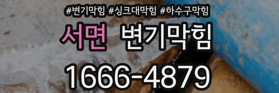 변기막힘