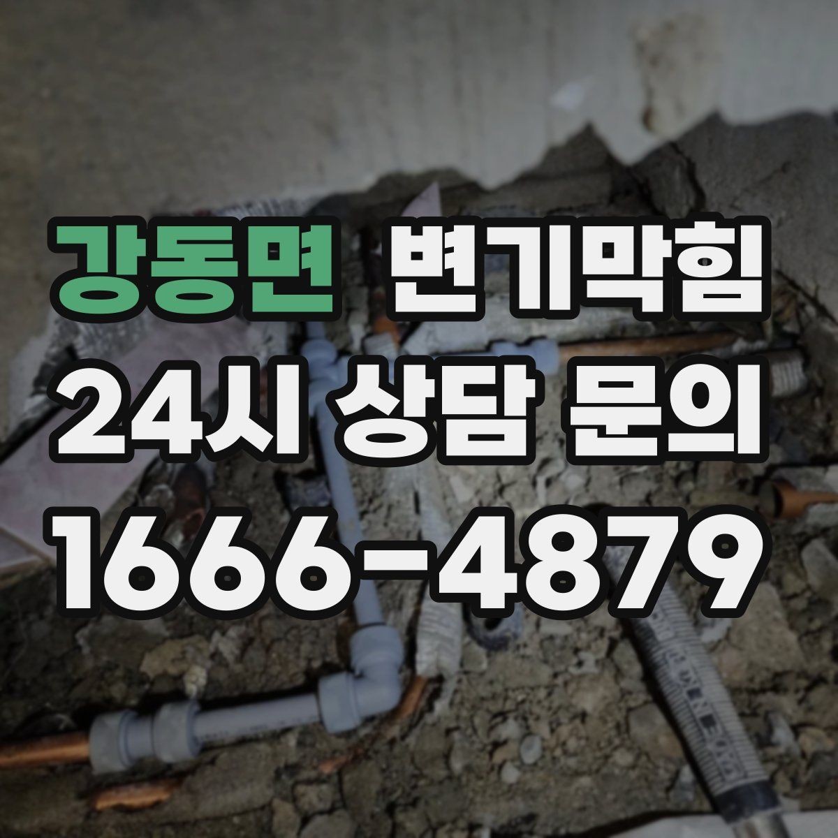 강동면 변기막힘 식당 화장실역류 냄새와 소음 동시 해소