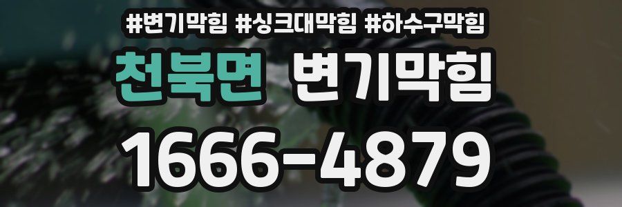 변기막힘