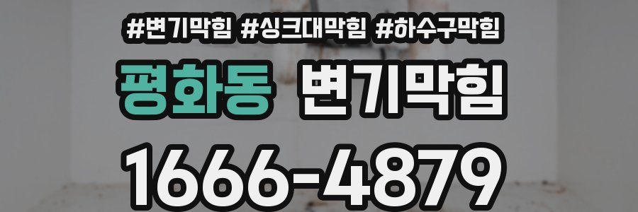 변기막힘