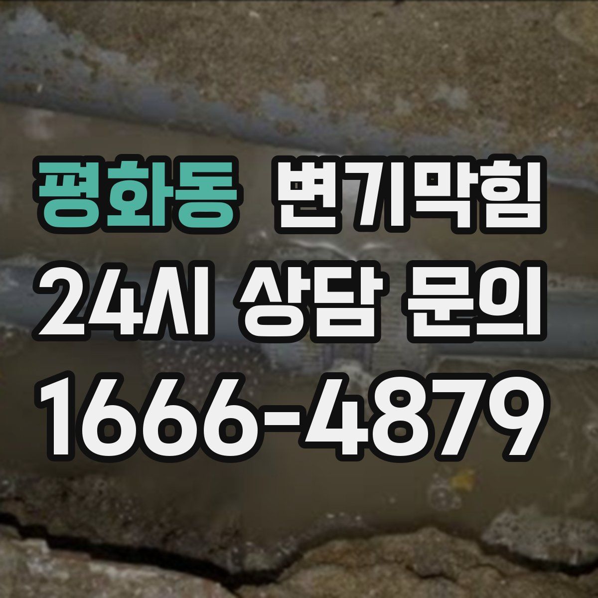 평화동 변기막힘