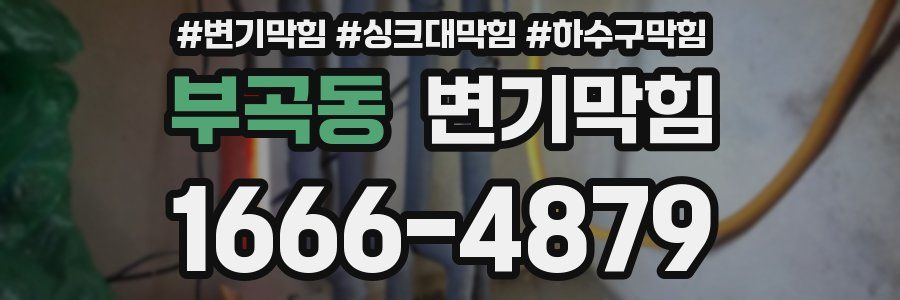 변기막힘