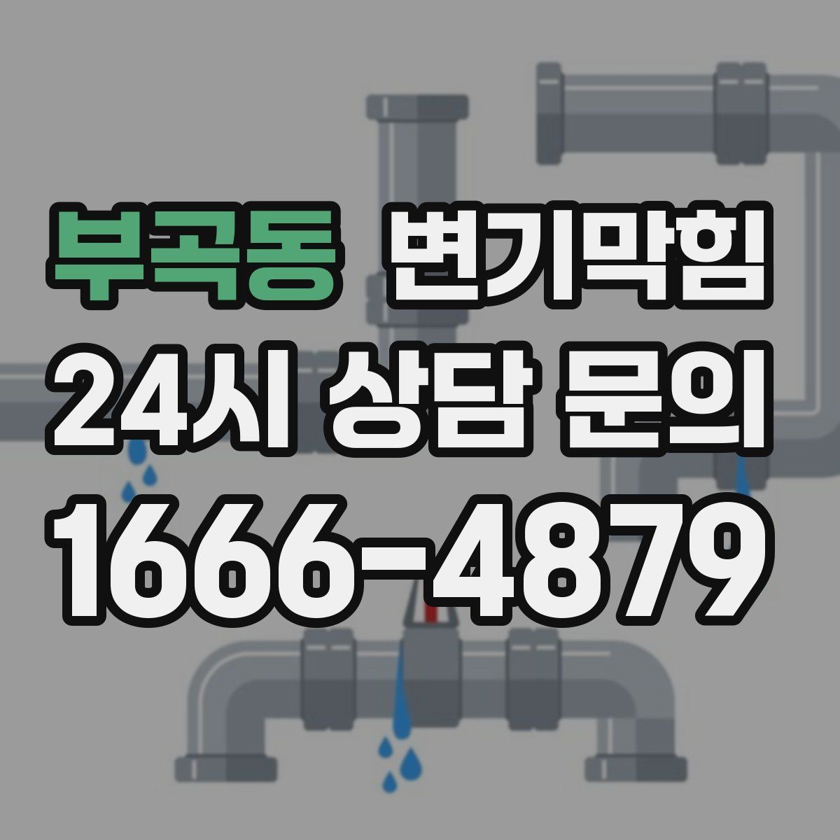 부곡동 변기막힘