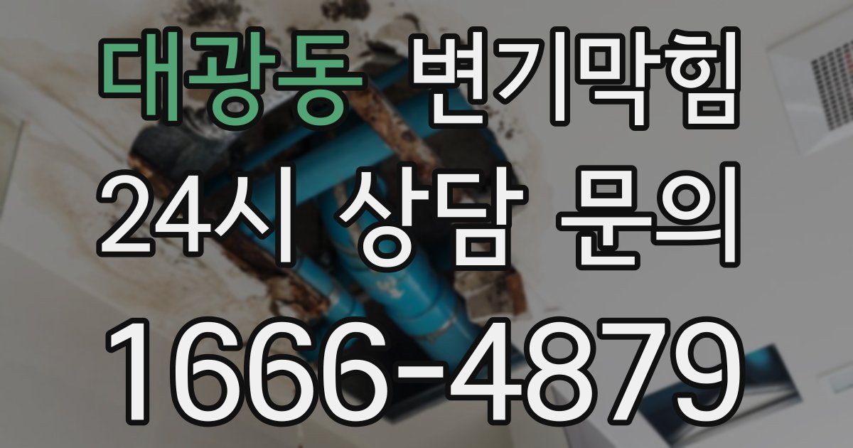 대광동 변기