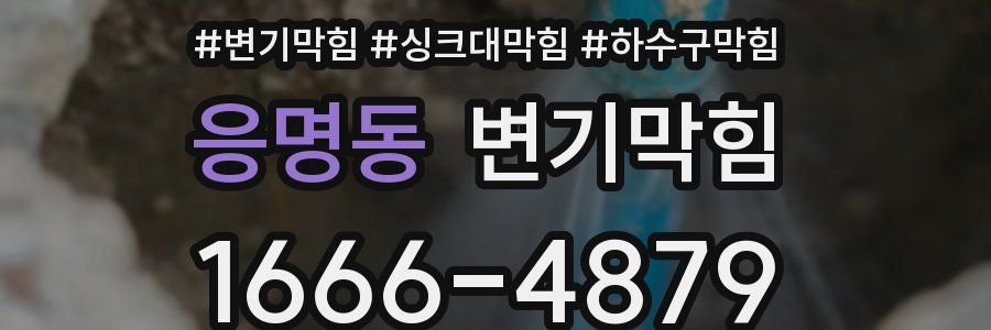 변기막힘