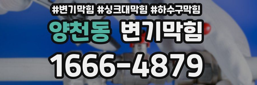 변기막힘