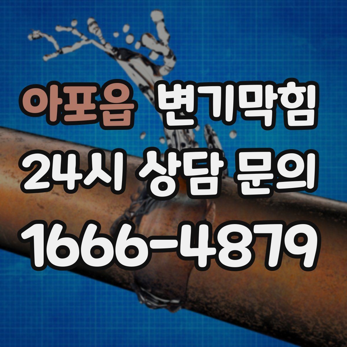 아포읍 변기막힘 단독 변기뚫기 수봉 회복 안정화