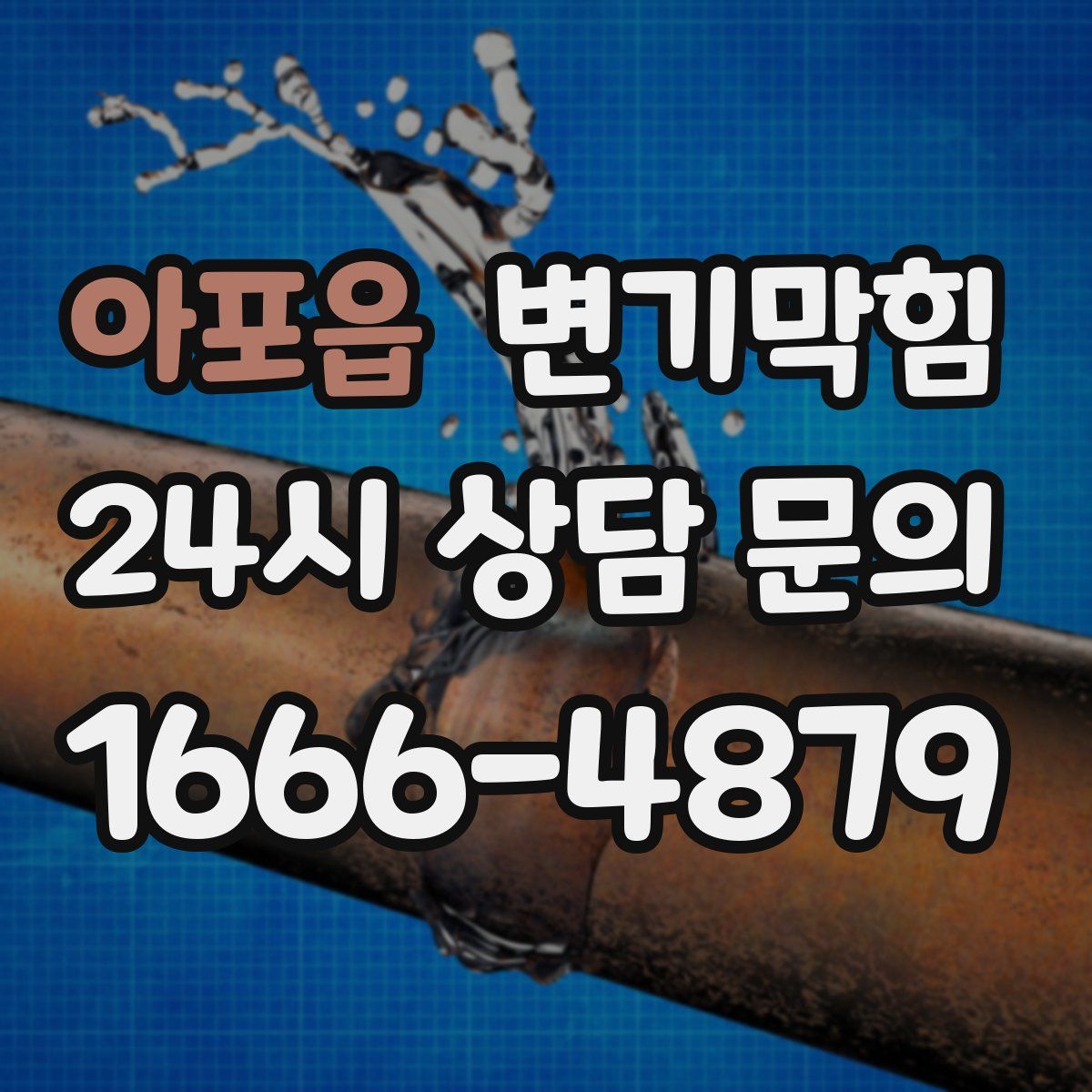 아포읍 변기막힘