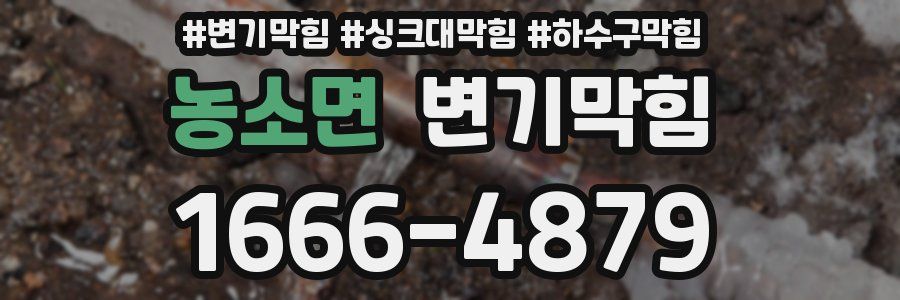변기막힘