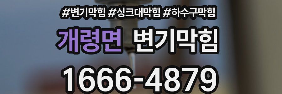변기막힘