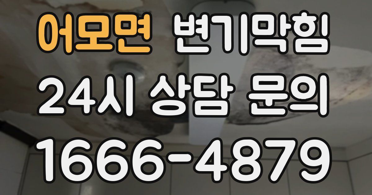 어모면 변기
