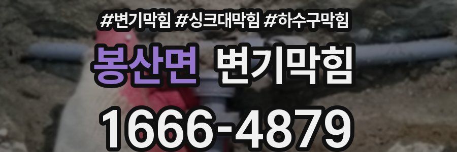변기막힘