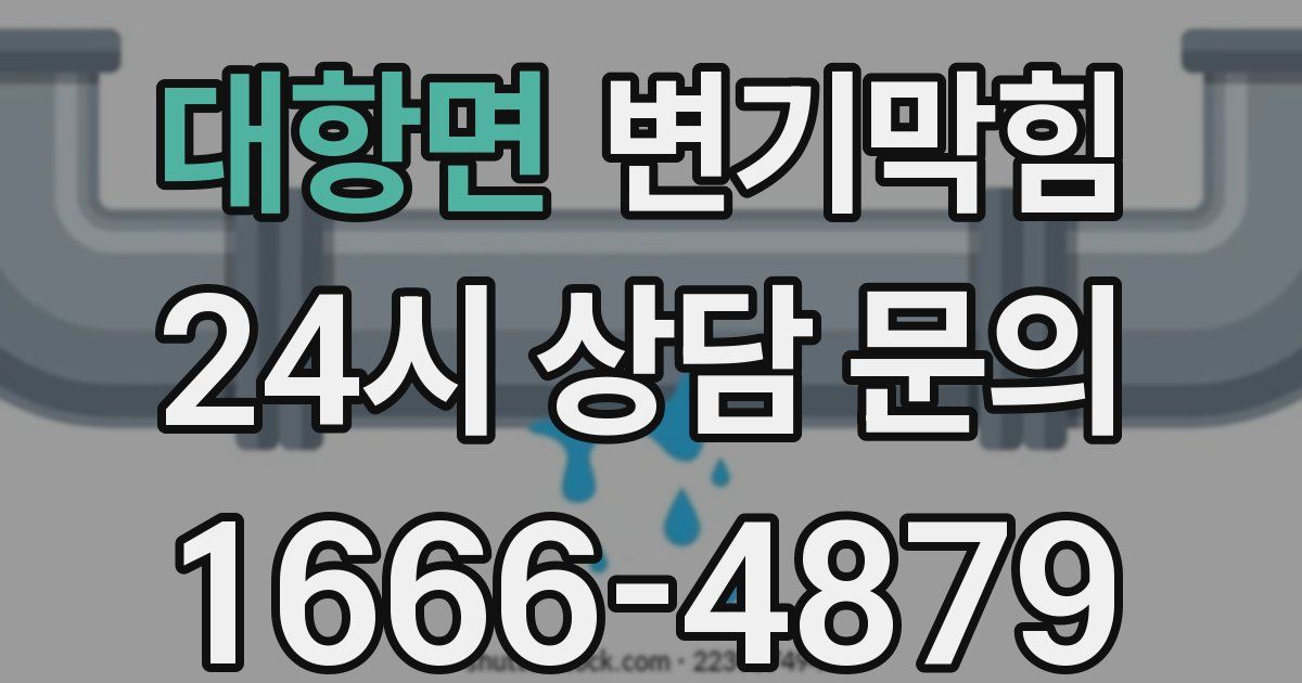 대항면 변기