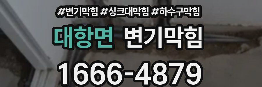 변기막힘