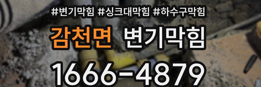 변기막힘