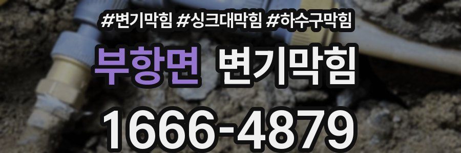 변기막힘