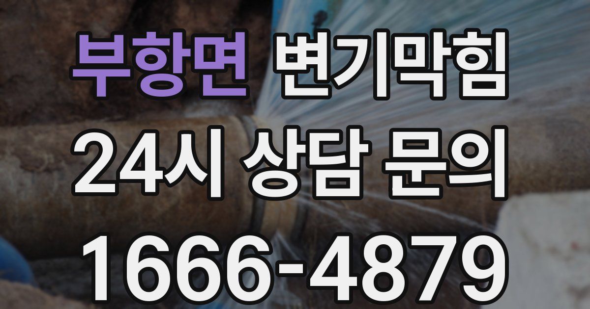 부항면 변기