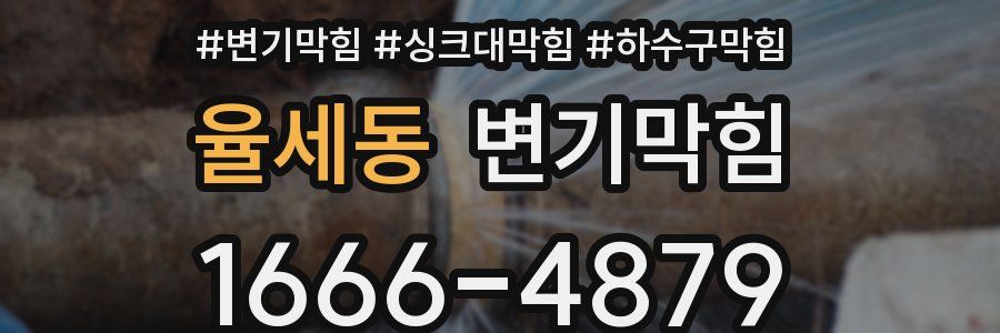 변기막힘