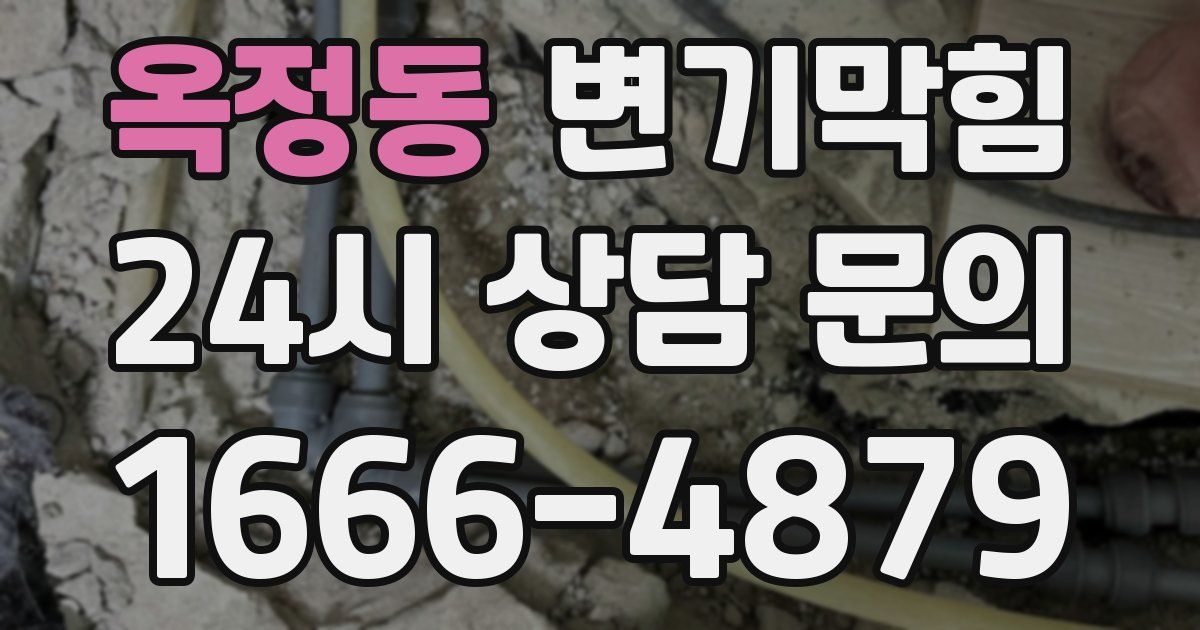옥정동 변기