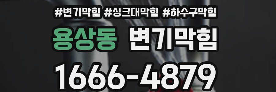변기막힘