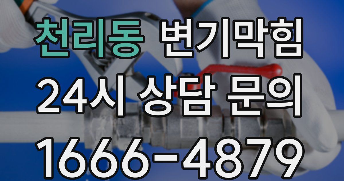 천리동 변기