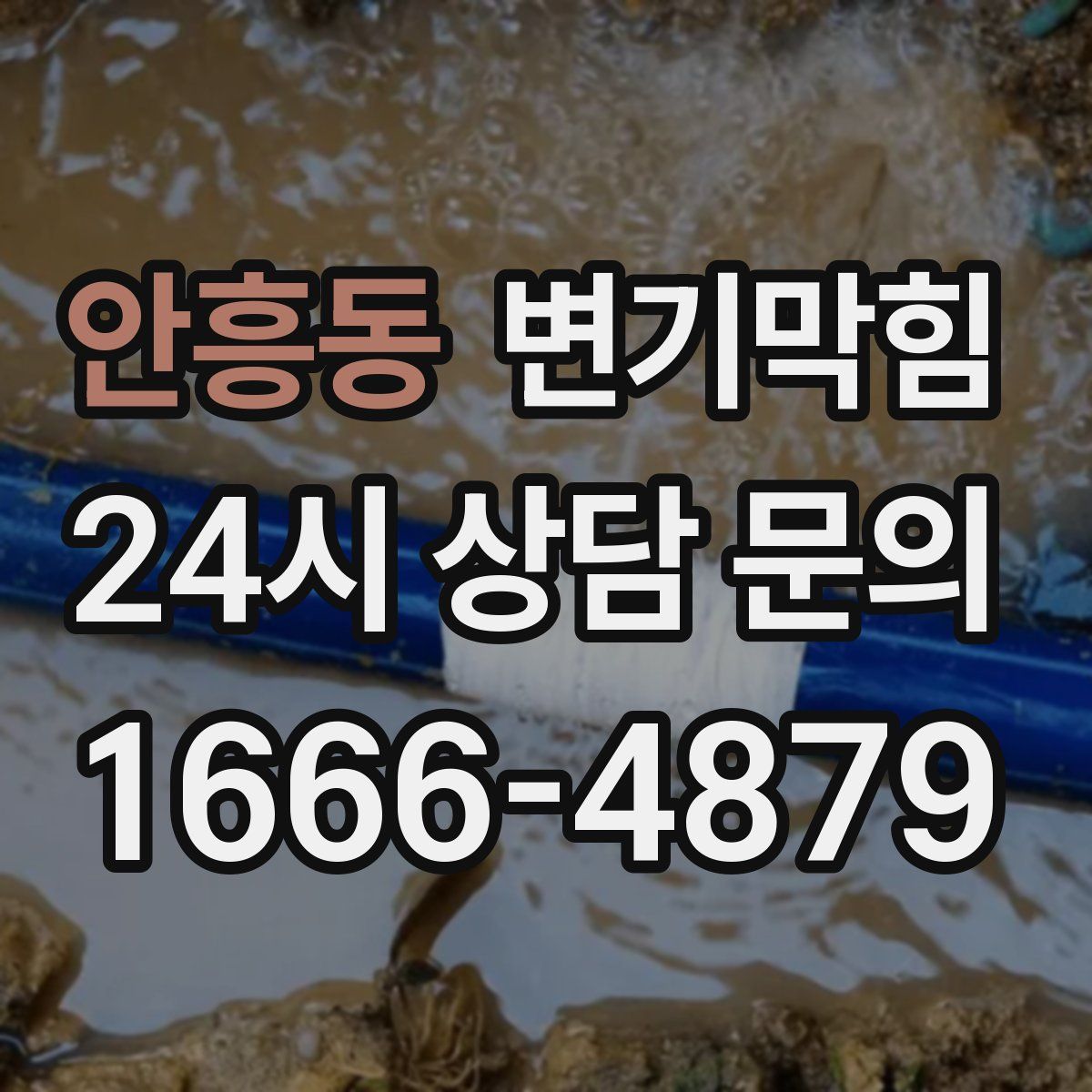 안흥동 변기막힘