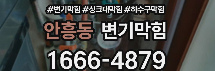 변기막힘
