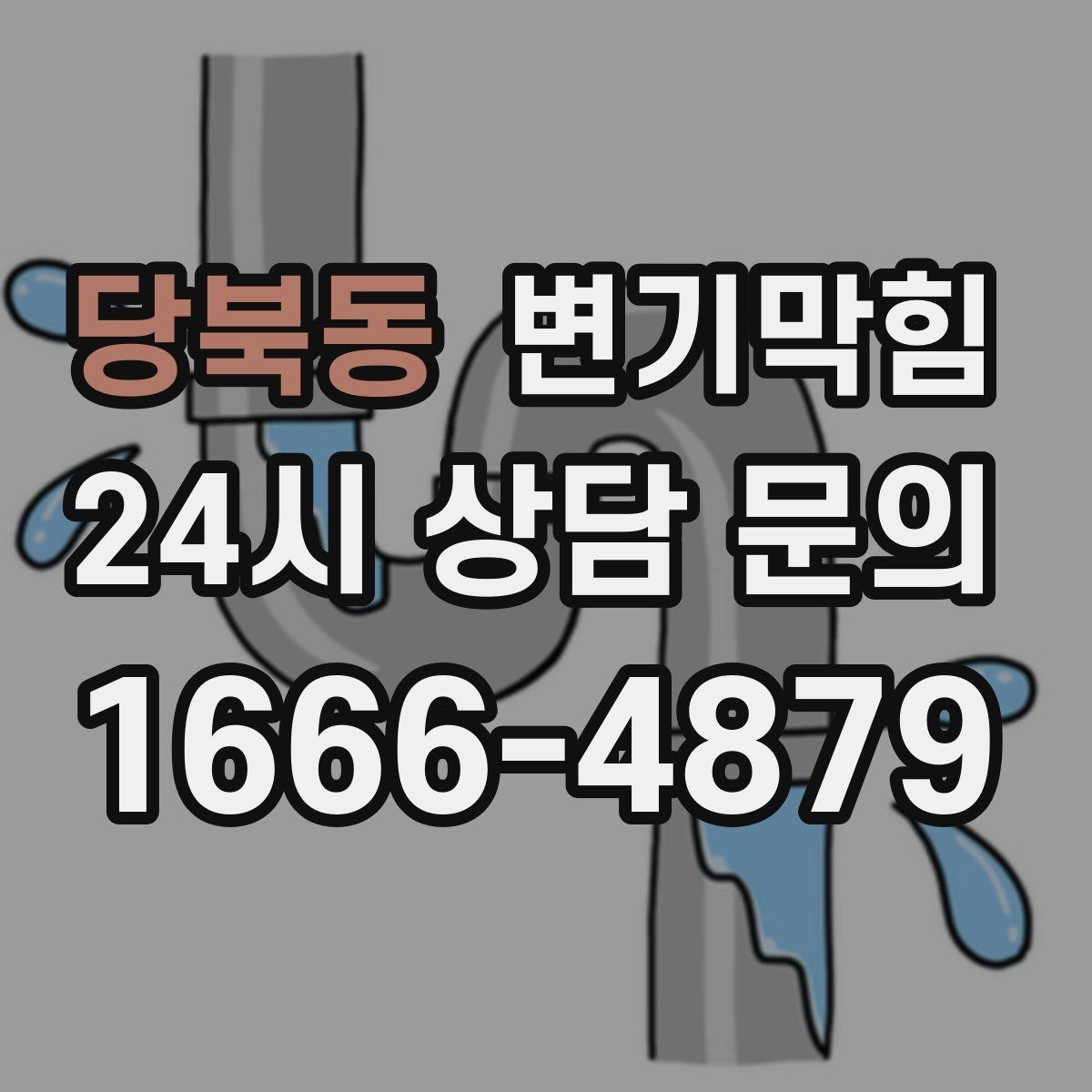 당북동 변기막힘 단독 변기뚫기 바닥 실리콘 보강
