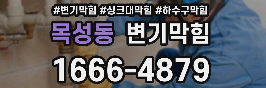변기막힘