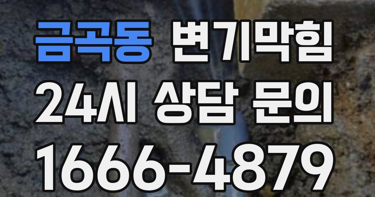 금곡동 변기