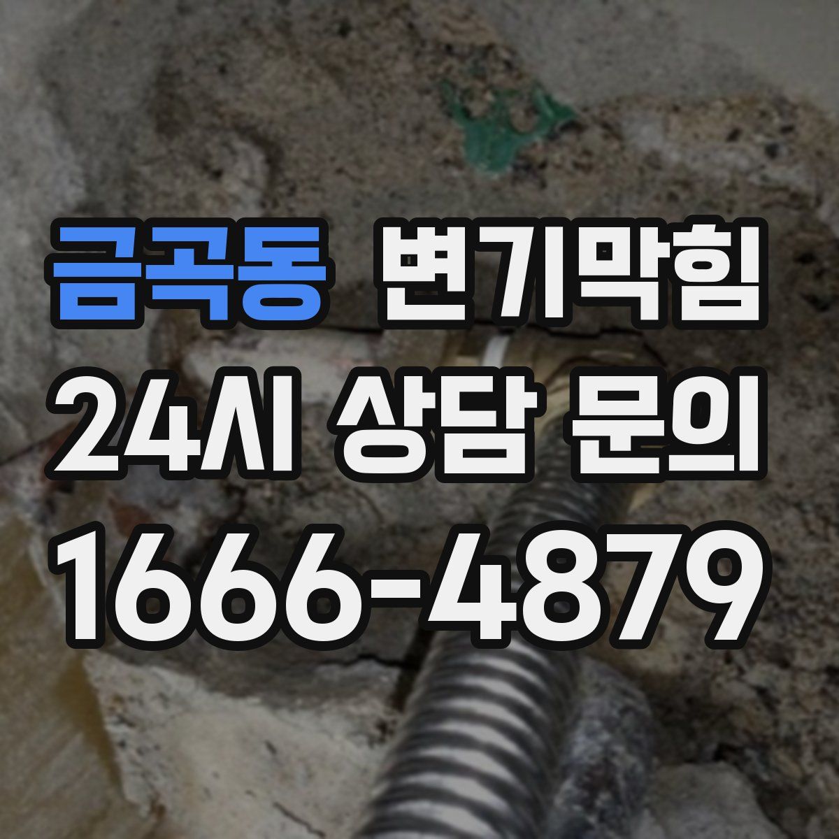 금곡동 변기막힘