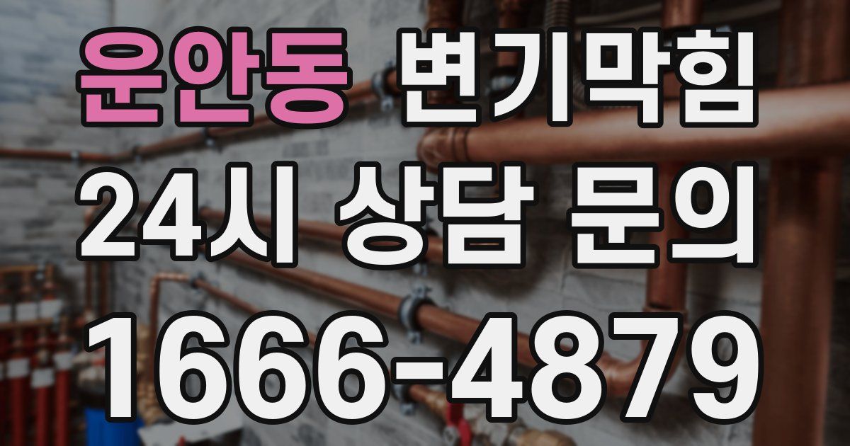 운안동 변기
