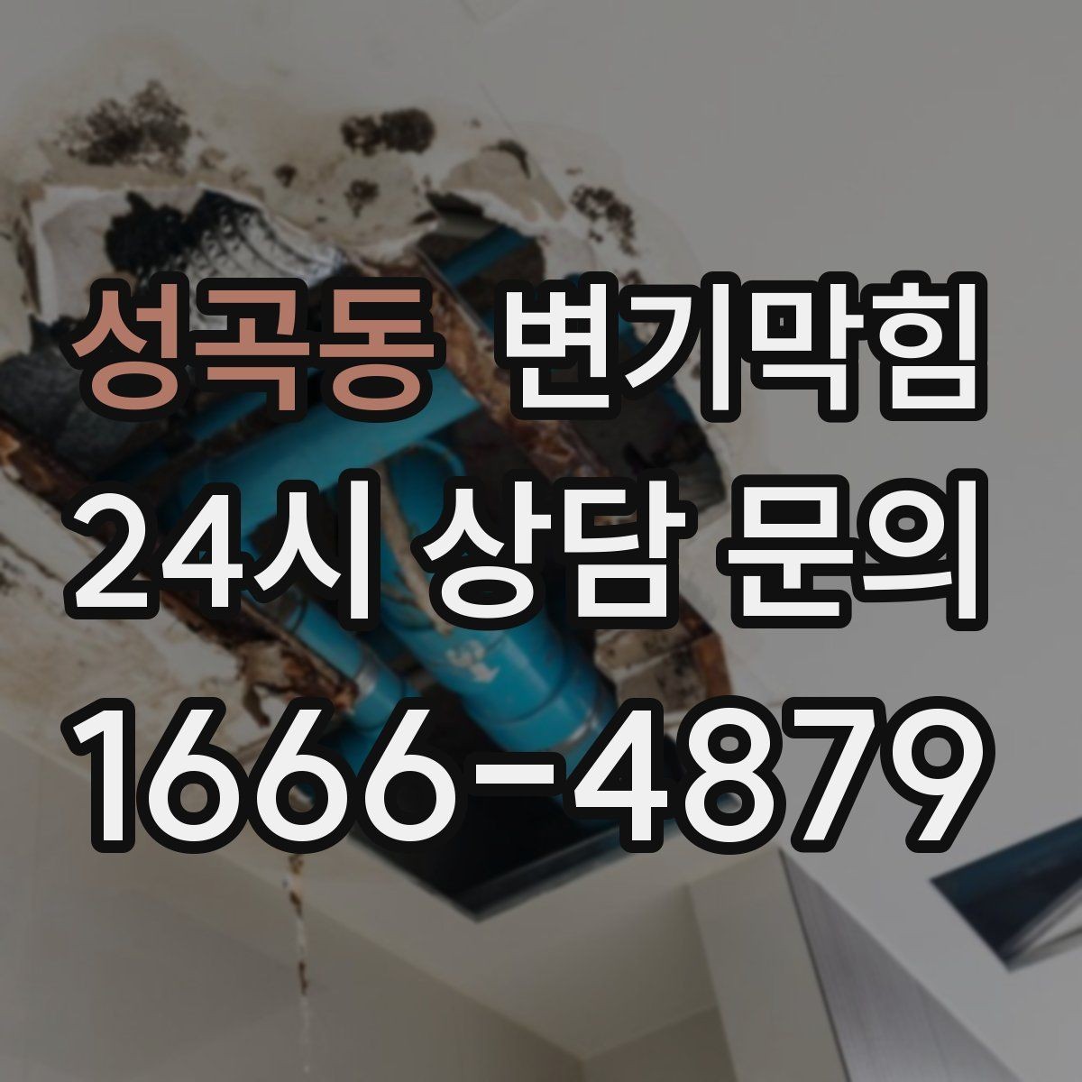 성곡동 변기막힘 다가구 화장실막힘 공용 구간 도면화