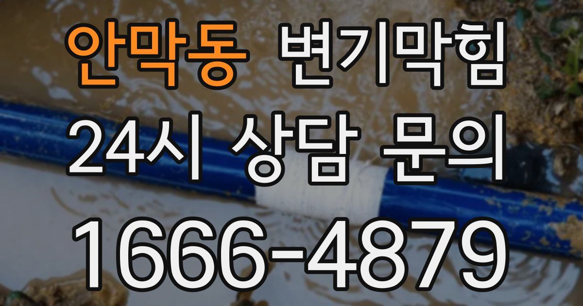 안막동 변기
